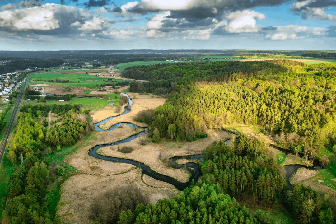 Kaszuby canva (1)